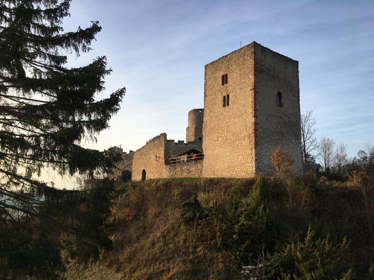 Ferienwohnungen Lausbuben & Zicken - Im Grunen Herzen Deutschlands Herleshausen Esterno foto